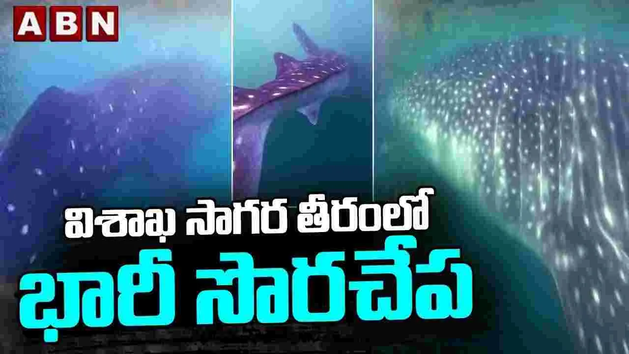 విశాఖ సాగర తీరంలో భారీ సొరచేప