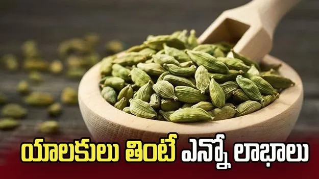 యాలకులు తింటే ఆరోగ్యానికి ఎంతో మేలు.. తెలిస్తే అస్సలు వదలరు..