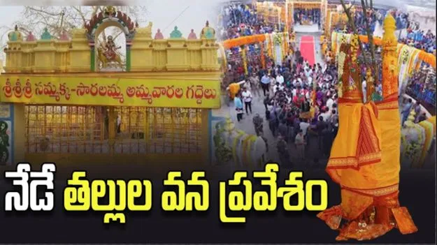 నేడే తల్లుల వన ప్రవేశం