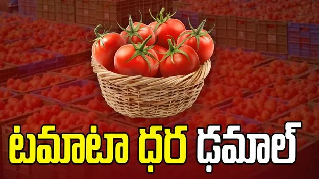 టమాటా ధర ఢమాల్