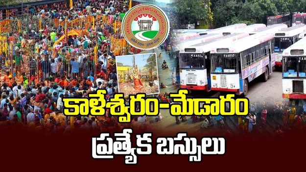 కాళేశ్వరం-మేడారానికి ప్రత్యేక బస్సులు