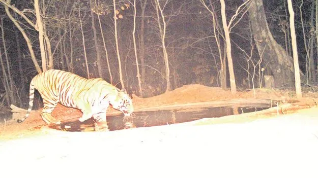 kumaram bheem asifabad- వన్యప్రాణుల దాహార్తి తీరుతోంది..