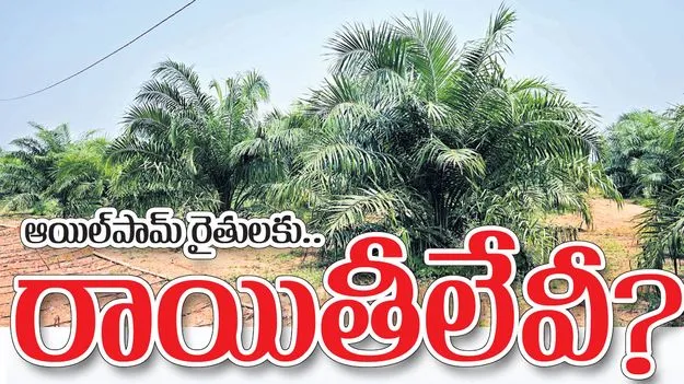 ఆయిల్‌పామ్‌ రైతులకు రాయితీలేవీ?
