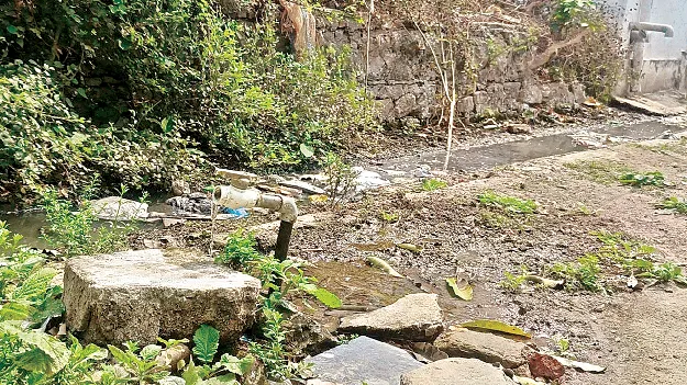 ఇలా ఉంటే రోగాలు రావా?