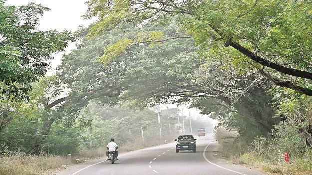 పచ్చటి రోడ్లు