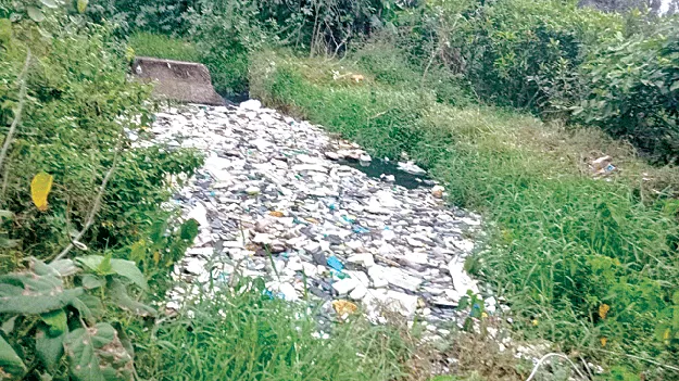 మహేంద్రతనయలో.. ఒడిశా కాలుష్యం