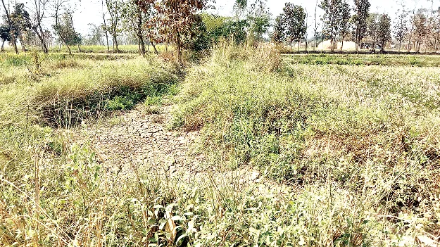   నిర్వహణ లేక.. సాగు నీరందక