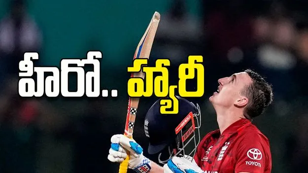 హీరో .. హ్యారీ