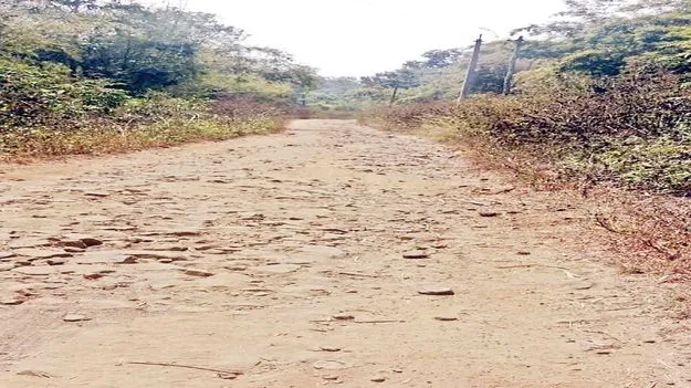 మన్యం రోడ్లకు మోక్షమెప్పుడు..?