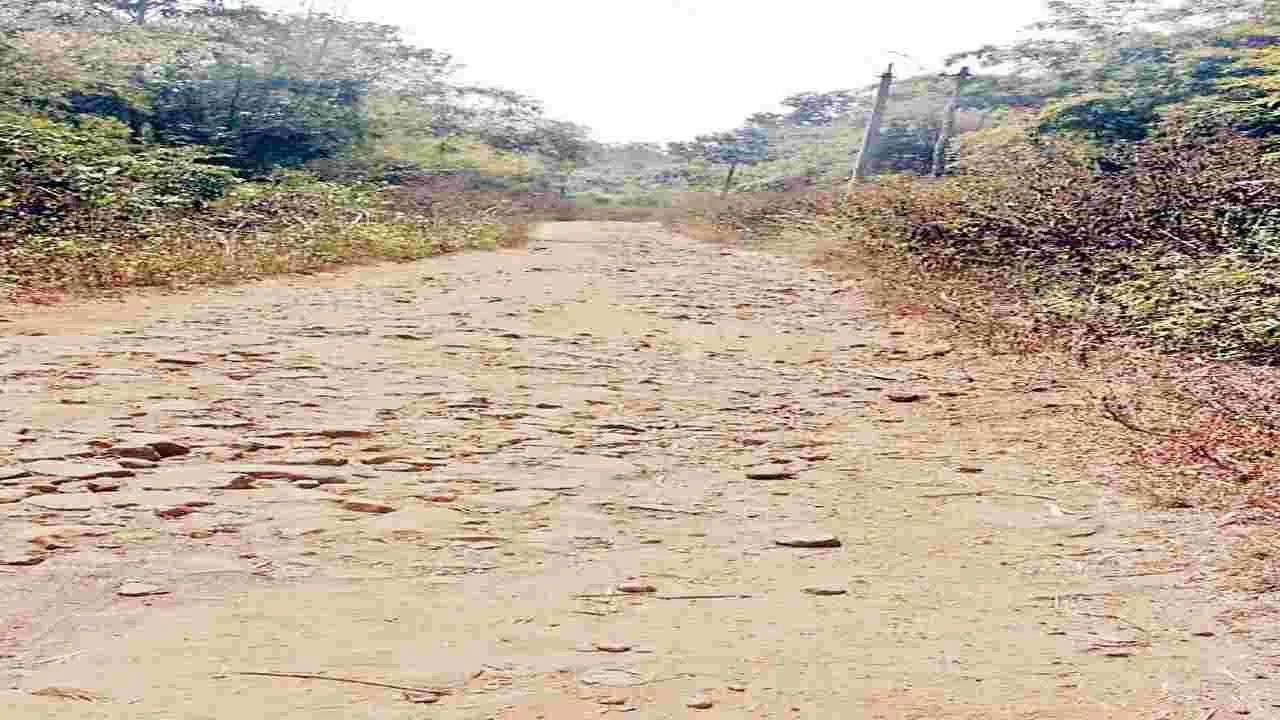 మన్యం రోడ్లకు మోక్షమెప్పుడు..?