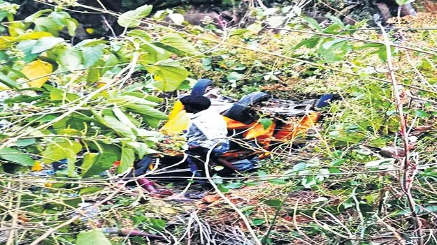 అదుపు తప్పి లోయలో ఆటో బోల్తా