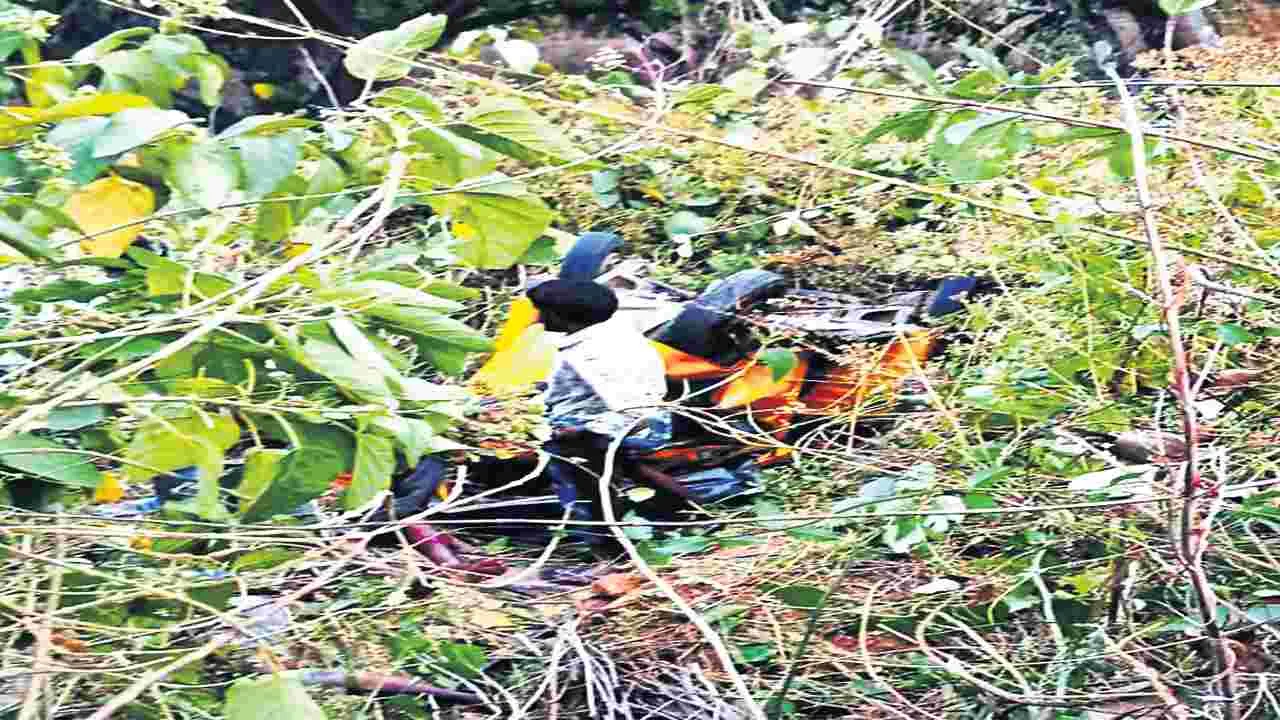 అదుపు తప్పి లోయలో ఆటో బోల్తా