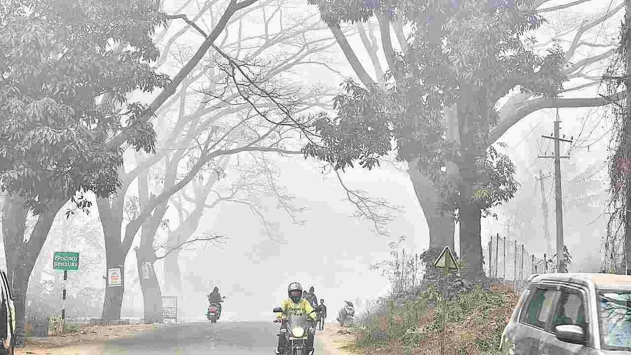 వణికిస్తున్న చలి
