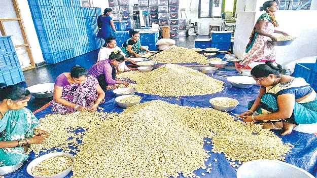 జీడిపప్పు ః 900   