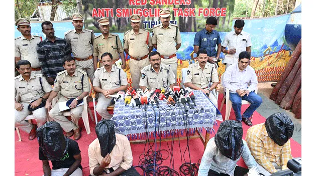 రూ.1.65కోట్ల ఎర్రచందనం స్వాధీనం