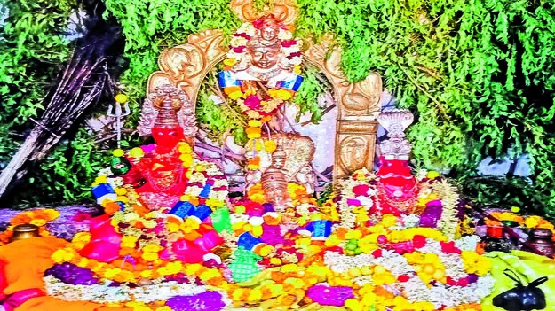 GODDESS: కోర్కెలు తీర్చె పాతూరు పెద్దమ్మ 