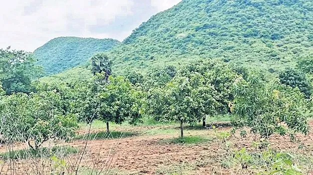 ‘మాకవరపాలెం’లో ల్యాండ్‌ బ్యాంకు