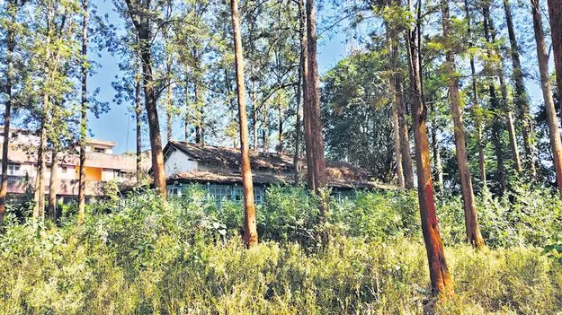 ‘పట్టు’ జారింది