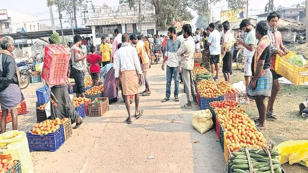 టమాటా ధర పతనం