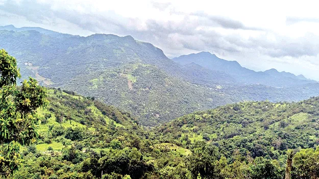  కల సాకారమయ్యేనా?