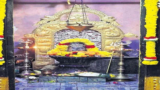 మత్స్యలింగేశ్వరా నమోనమః