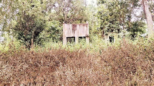 మొక్కలు లేని సోషల్‌ ఫారెస్టు