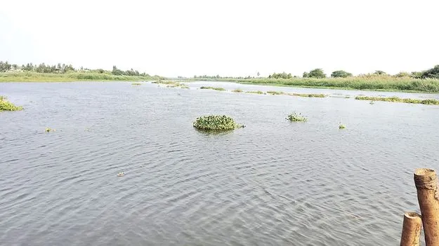 ఉప్పునీటి గండం!
