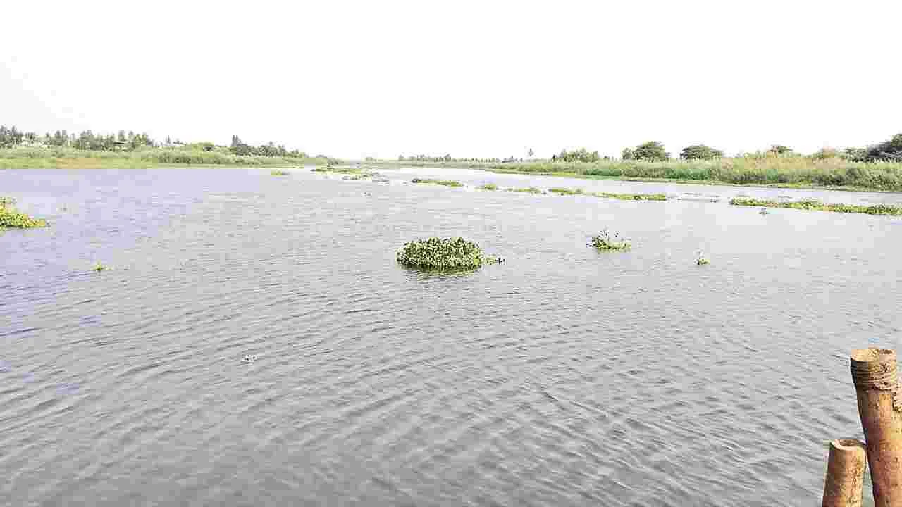 ఉప్పునీటి గండం!