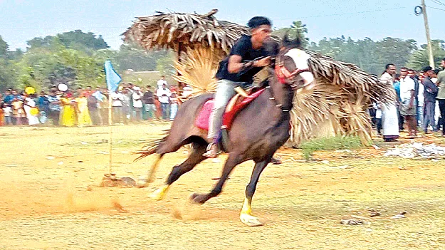 ఆకట్టుకున్న గుర్రాల పరుగు పందెం