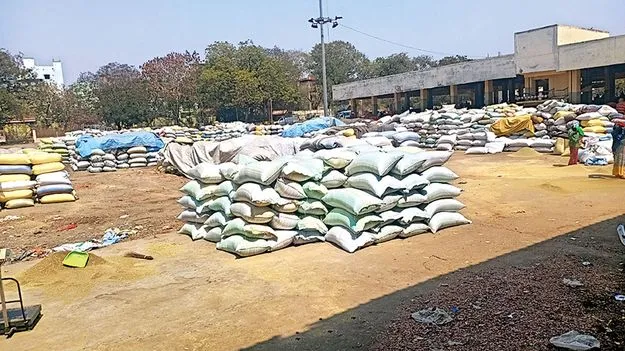    వాము పొట్టు అ‘ధర’హో