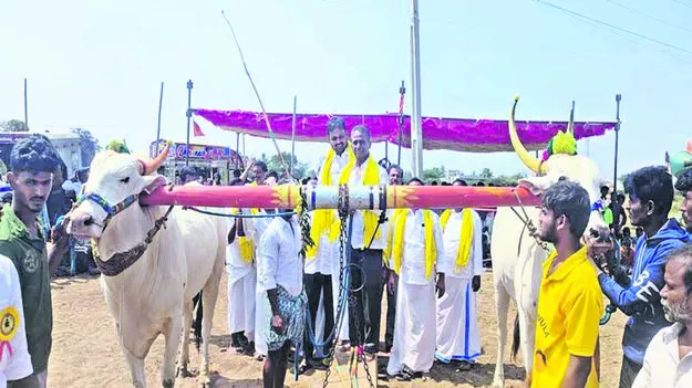 COMPETITIONS: ఉత్సాహంగా రాతిదూలం లాగుడు పోటీలు