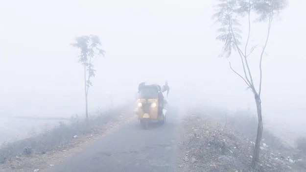 పెరుగుతున్న పొగమంచు 