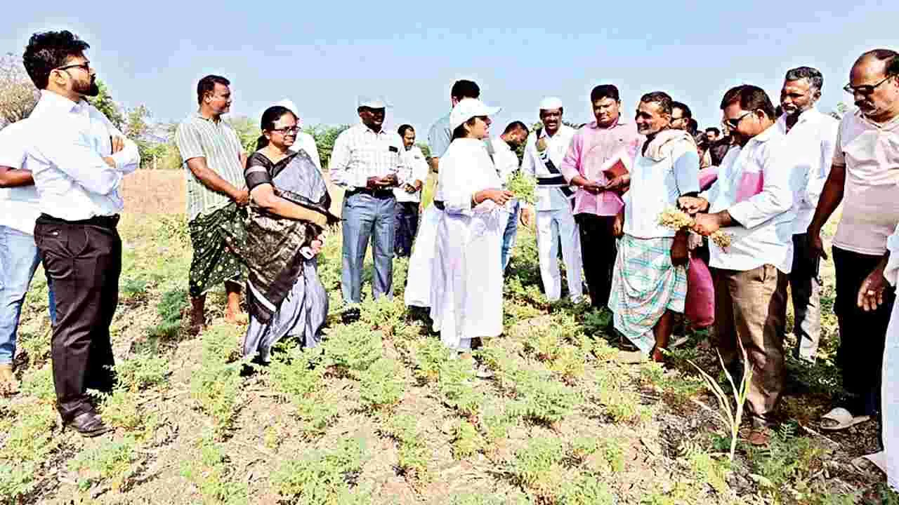    పదిలో ఉత్తమ ఫలితాలు సాధించాలి