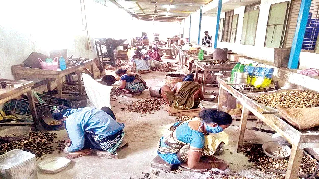  ఎగుమతులకు వేళాయే!