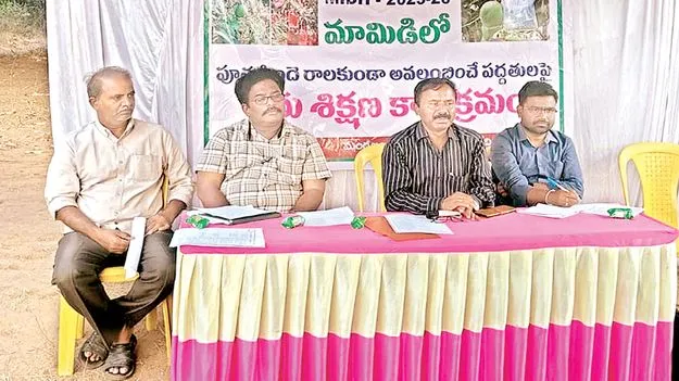 మామిడి పూత రాలకుండా జాగ్రత్తలు తీసుకోవాలి 