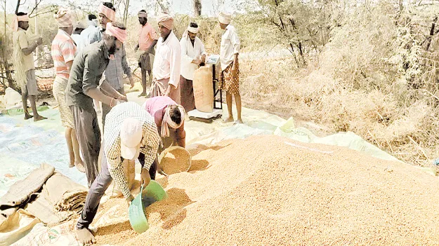 తరుగు పేరుతో దగా