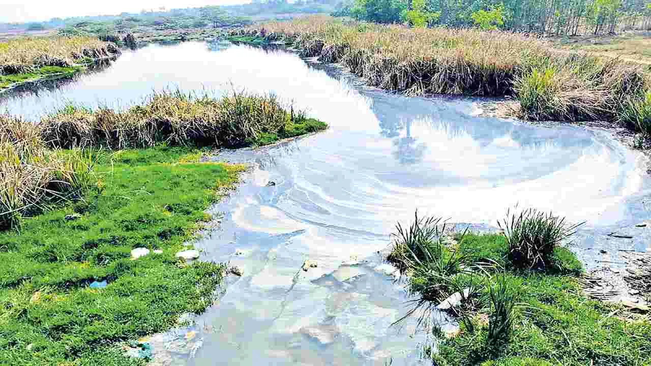 కాలుష్య కాసారం.. ఉప్పరిగెడ్డ