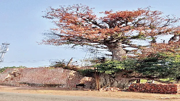 care less officers to itukabatti ‘బట్టి’ంచుకోవట్లే!