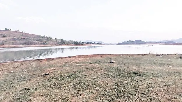  మత్స్యగెడ్డ వెలవెల