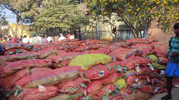 క్యాబేజీకి ధరాఘాతం 