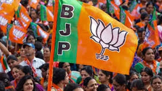 జాతీయ పార్టీల ఆదాయంలో బీజేపీదే హవా! 