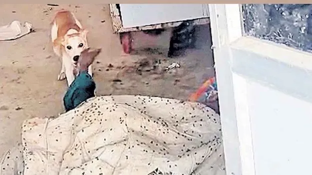 జడ్చర్ల ఆస్పత్రి ఘటనపై మంత్రి ఆగ్రహం