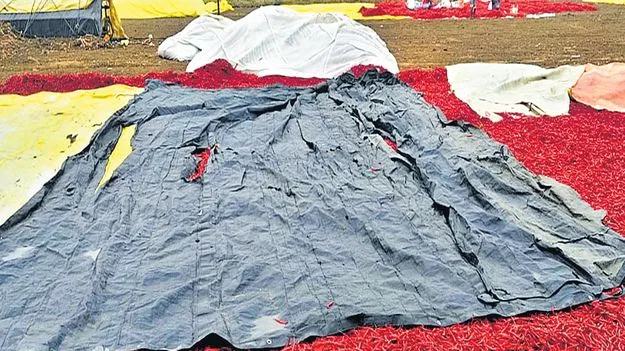 అకాల వర్షం.. అన్నదాతకు తీరని శోకం