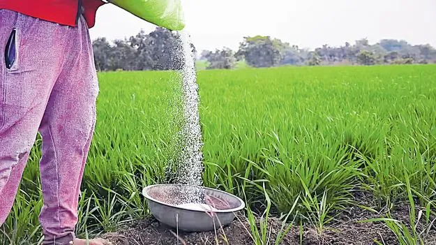 ఎరువులు, వంటగ్యాస్‌కు తిప్పలే! 