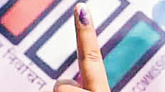 బడ్జెట్‌ సమావేశాల తర్వాతే పరిషత్‌ ఎన్నికలు!