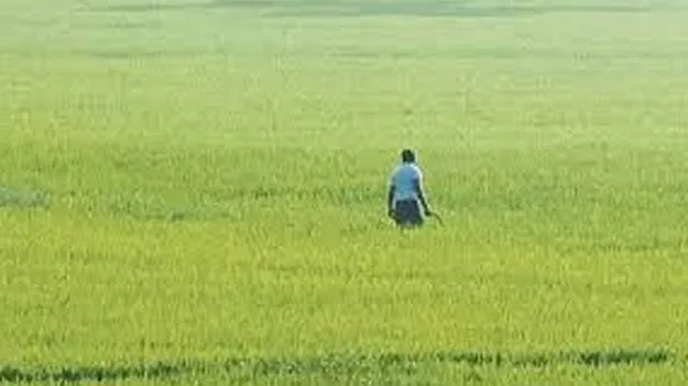 రైతే రాష్ర్టానికి దన్ను