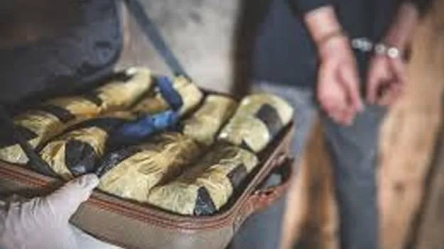 విదేశీ డ్రగ్‌ స్మగ్లర్ల బహిష్కరణ వేగవంతం 