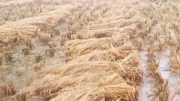 సరుకు తడిసినా పరిహారం ఇవ్వాల్సిందే