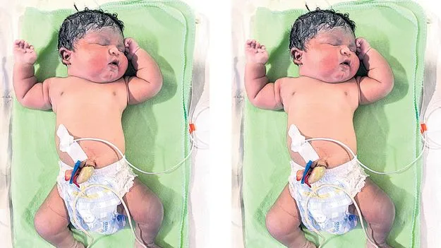 భద్రాద్రిలో బాలభీముడు