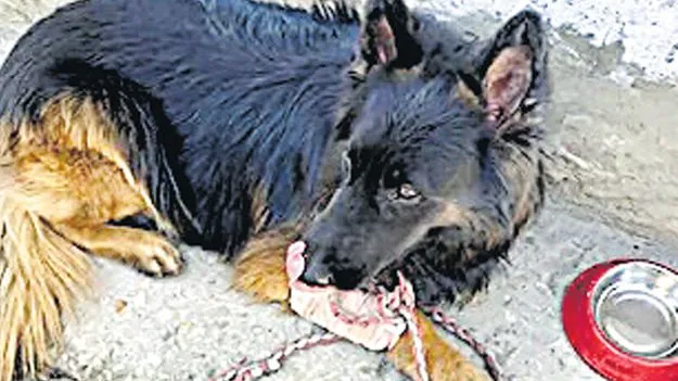 కిస్త్వాడ్‌ ఎన్‌కౌంటర్‌లో ఏడుగురు ఉగ్రవాదుల హతం